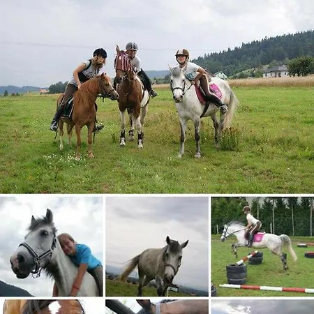 Сasa de vacaciones Panorama *